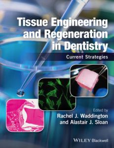 Tissue Engineering and Regeneration in Dentistry Current Strategies