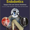 Microsurgery in Endodontics