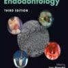 Textbook of Endodontology, 3rd Edition