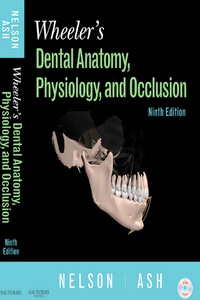 Wheeler’s Dental Anatomy, Physiology and Occlusion, 10th Edition ...