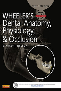 Wheeler’s Dental Anatomy Physiology and Occlusion