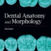 Dental Anatomy and Morphology