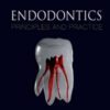 Endodontics Principles and Practice, 6th Edition ( 72 New Videos 2021)