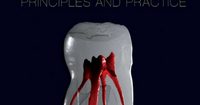 Endodontics Principles and Practice, 6th Edition ( 72 New Videos 2021)