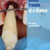 Dental Trauma at a Glance