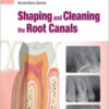 Shaping and Cleaning the Root Canals